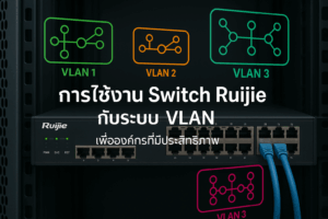 Ruijie VLAN