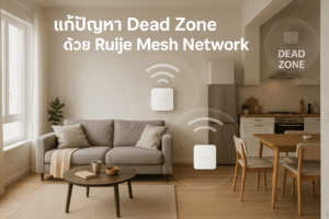 Dead Zone Mesh Network