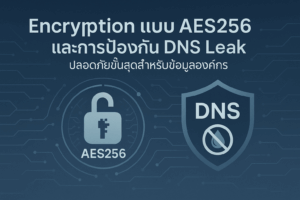 DNS Leak