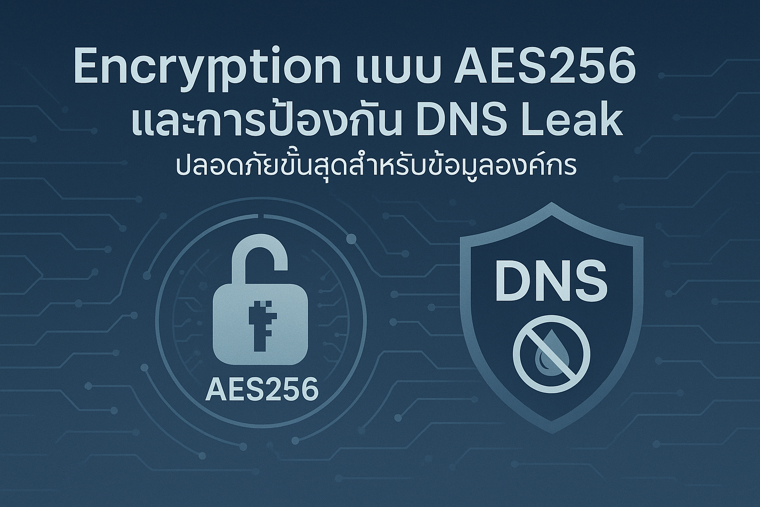 DNS Leak