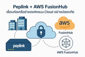 Peplink + AWS FusionHub