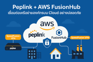 Peplink