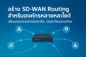 SD-WAN Routing